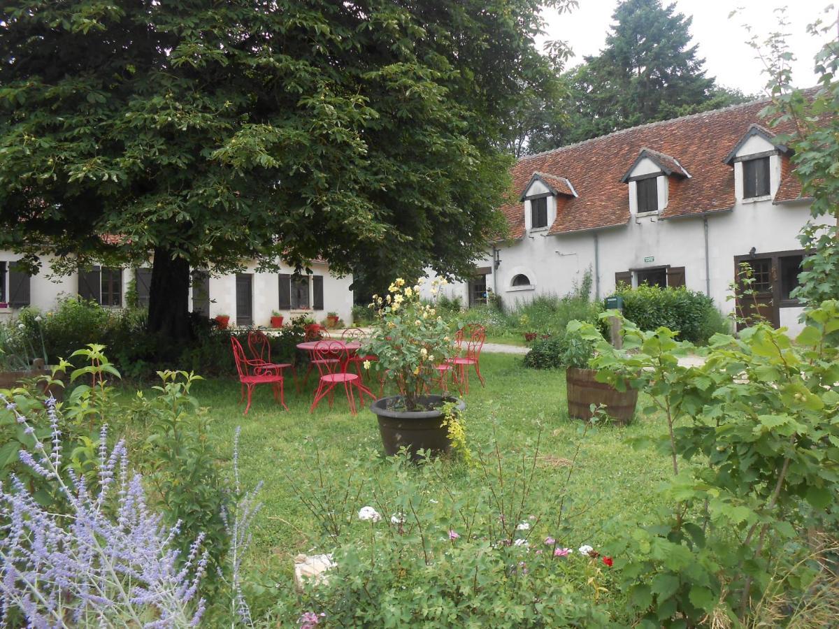B&B La Ferme Des Bordes Pontlevoy Bagian luar foto