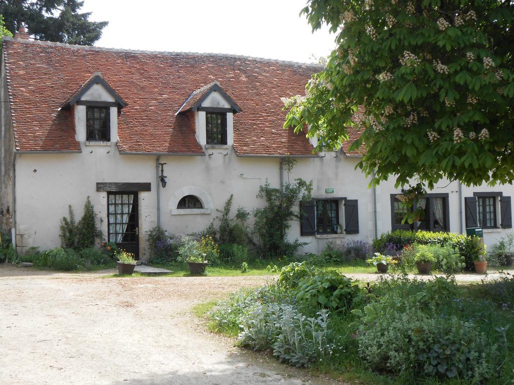 B&B La Ferme Des Bordes Pontlevoy Bagian luar foto